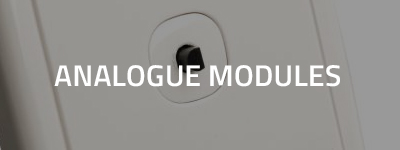 Analogue Modules